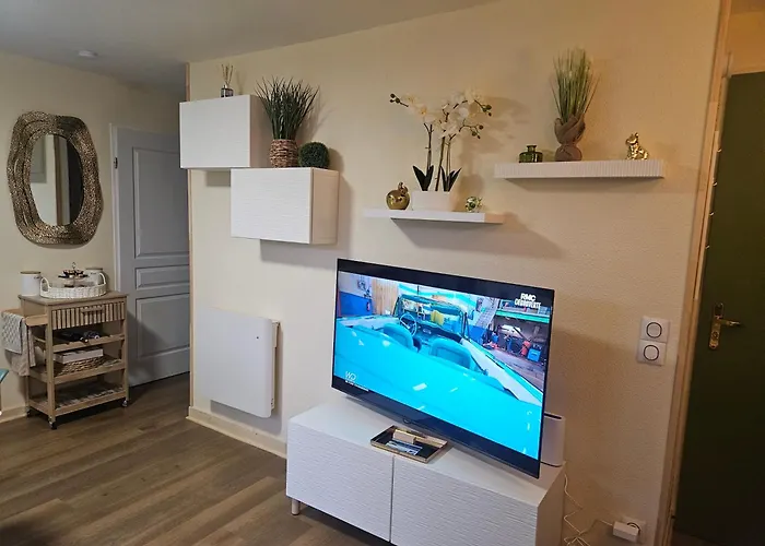 Le Tresor Du - - De Clarens - - Piscine - Parking - Wifi - Acces Privee - Golf - Casino - Terra Aventura - So Velo Apartment